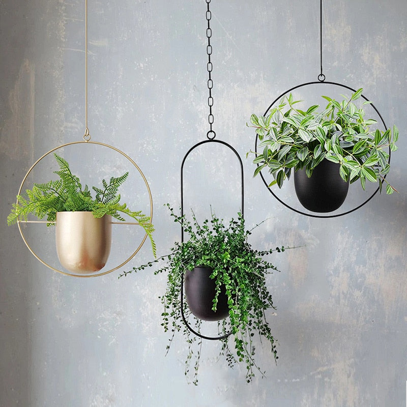 Floravia Planteophæng – Elegant & Vejrbestandigt Design til Indendørs og Udendørs Brug
